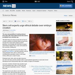 Stem cell experts urge ethical debate over embryo creation - Science News
