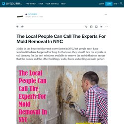 The Local People Can Call The Experts For Mold Removal In NYC