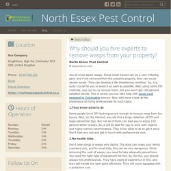 Why should you hire experts to remove wasps from your property? - North Essex Pest Control : powered by Doodlekit