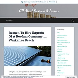 Reason To Hire Experts Of A Roofing Company in Waikanae Beach