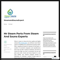 Mr Steam Parts From Steam And Sauna Experts – SteamandSaunaExpert