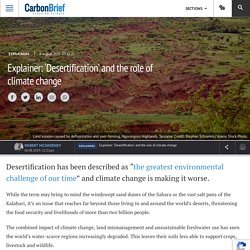 Explainer: Desertification and the role of climate change