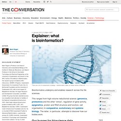 Explainer: what is bioinformatics?