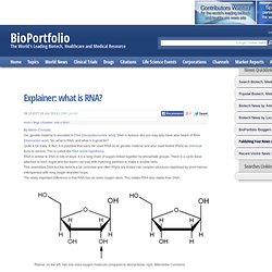 Explainer: what is RNA?