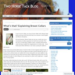 What’s that? Explaining Breast Collars