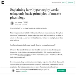 Explaining how hypertrophy works using only basic principles of muscle physiology