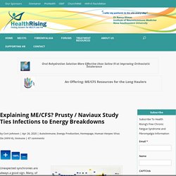 Explaining ME/CFS? Prusty / Naviaux Study Ties Infections to Energy Breakdowns