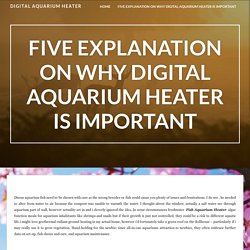 Five Explanation On Why Digital Aquarium Heater Is Important – Digital Aquarium Heater
