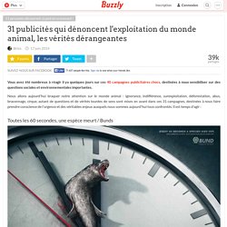 31 publicités qui dénoncent l'exploitation du monde animal, les vérités dérangeantes
