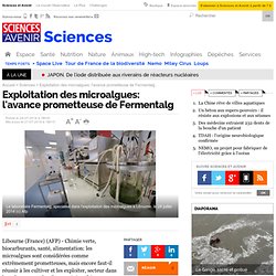 Exploitation des microalgues: l'avance prometteuse de Fermentalg