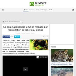 Le parc national des Virunga menacé par l'exploitation pétrolière au Congo