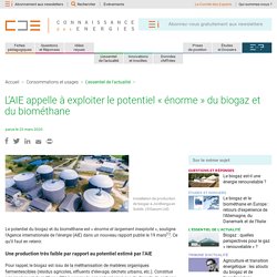 L’AIE appelle à exploiter le potentiel « énorme » du biogaz et du biométhane