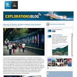 Explorations - A Lindblad Expeditions Blog >> ALIENS AND BLOOD WATERFALLS IN ANTARCTICA