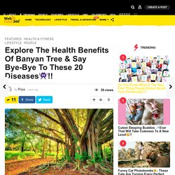 Learn About Health Benefits of Banyan Tree