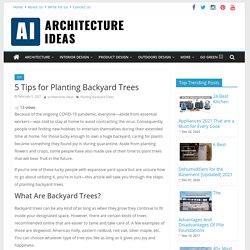 Explore the 5 Best Tips for Planting Backyard Trees