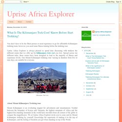 Uprise Africa Explorer: What Is The Kilimanjaro Trek Cost? Know Before Start Trekking!