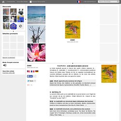 Visual Arts Explorer - Le moteur de recherche des arts visuels - ZANO
