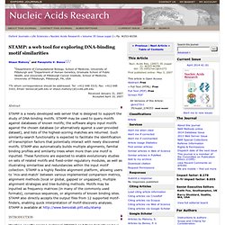 STAMP: a web tool for exploring DNA-binding motif similarities