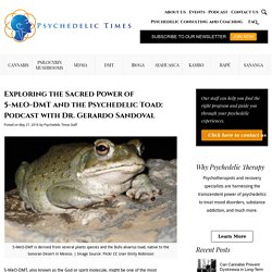 Exploring the Sacred Power of 5-MeO-DMT and the Psychedelic Toad: Podcast with Dr. Gerardo Sandoval - Psychedelic Times