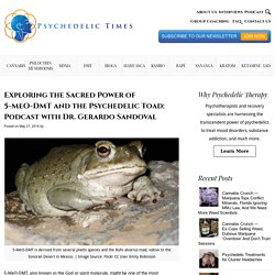 Exploring the Sacred Power of 5-MeO-DMT and the Psychedelic Toad: Podcast with Dr. Gerardo Sandoval - Psychedelic Times