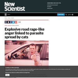 Explosive road rage-like anger linked to parasite spread by cats