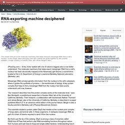 RNA-exporting machine deciphered