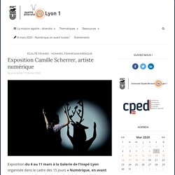 Exposition Camille Scherrer, artiste numérique - Mission égalité - diversité - Université Claude Bernard Lyon 1