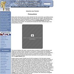 Physics of Light and Color - Photosynthesis: Interactive Java Tutorial