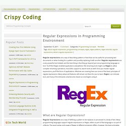 Regular Expressions in Programming Environment