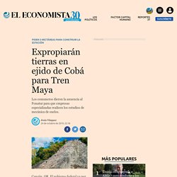 Expropiarán tierras en ejido de Cobá para Tren Maya