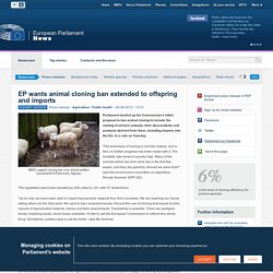PARLEMENT EUROPEEN 08/09/15 EP wants animal cloning ban extended to offspring and imports
