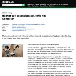 DEFRA 09/10/13 Badger cull extension application in Somerset