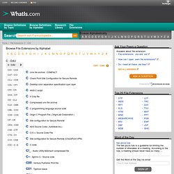File Extensions Definitions from Whatis