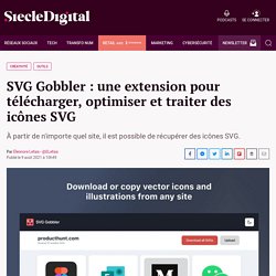 SVG Gobbler : une extension pour télécharger, optimiser et traiter des icônes SVG