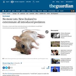 No more rats: New Zealand to exterminate all introduced predators