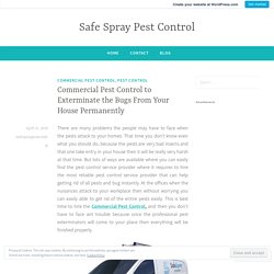 Commercial Pest Control to Exterminate the Bugs From Your House Permanently