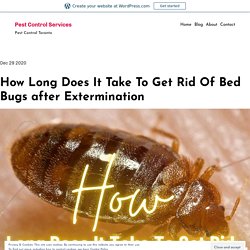 How Long Does It Take To Get Rid Of Bed Bugs after Extermination