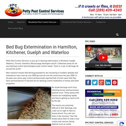 Bed Bug Extermination in Hamilton, Kitchener, Guelph and Waterloo