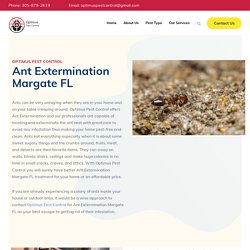 Ant Extermination Margate FL