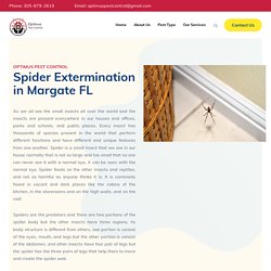 Spider Extermination in Margate FL