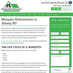 Mosquito Extermination Albany New York