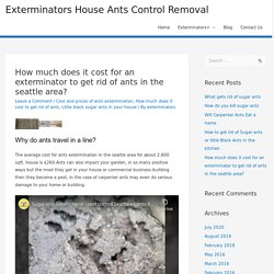 How much does it cost for an exterminator to get rid of ants in the seattle area? - Exterminators House Ants Control Removal