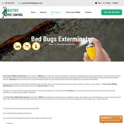 Bed Bugs Exterminator and Removal Company Whitby