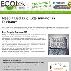 Exterminator of Bed Bugs in Durham, NC