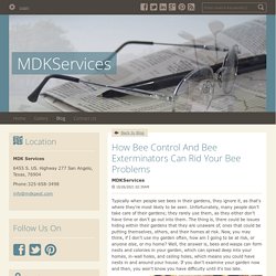 How Bee Control And Bee Exterminators Can Rid Your Bee Problems - MDKServices : powered by Doodlekit