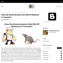 How Do Exterminators Get Rid Of Rodents In Toronto?