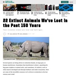 List of Extinct Species