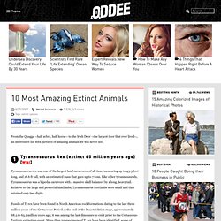 10 Most Amazing Extinct Animals - Oddee.com (extinct species)