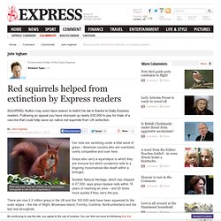 Red squirrels helped from extinction by Express readers