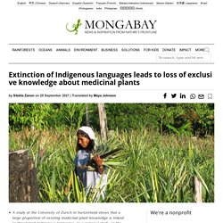 Extinction of Indigenous languages leads to loss of exclusive knowledge about medicinal plants